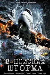 В поисках шторма 2009 постер
