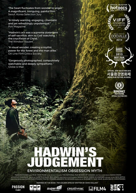 Постер Hadwin's Judgement