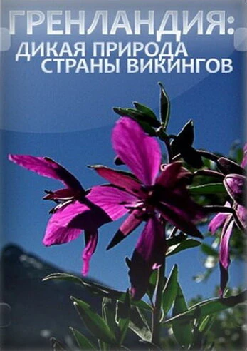 Постер Гренландия: Дикая природа страны викингов 2005