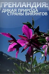 Гренландия: Дикая природа страны викингов 2005 постер