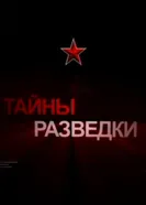 Тайны разведки 2012 постер