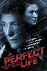 Идеальная жизнь 2010, Австралия постер