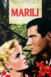 Marili постер