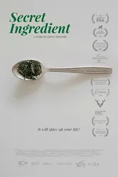 Целитель 2017 постер