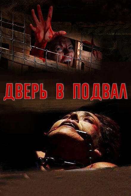 Постер Дверь в подвал 2007
