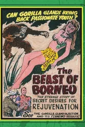The Beast of Borneo постер