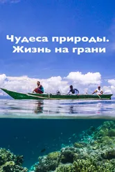 Чудеса природы. Жизнь на грани 2015 постер