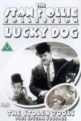 Украденные драгоценности 1931 постер