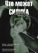 Что может силика 2025 постер