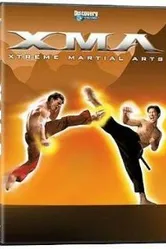 Экстремальные боевые искусства 2003 постер