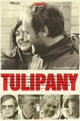 Тюльпаны 2004 постер