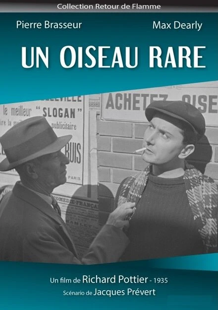 Постер Редкая пташка 1935
