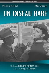 Редкая пташка 1935 постер