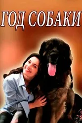 Год собаки 2018 постер