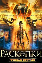 Раскопки 2008 постер