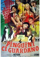 I pinguini ci guardano постер