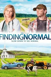 Finding Normal постер