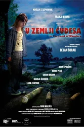 В стране чудес 2009 постер