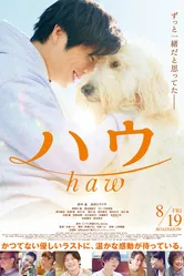 Haw постер