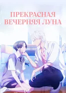 Прекрасная вечерняя луна постер