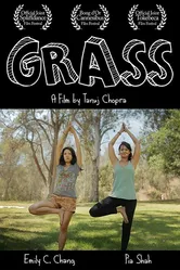 Grass 2017 постер