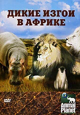 Постер Animal Planet: Дикие изгои в Африке 2006