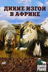 Animal Planet: Дикие изгои в Африке 2006 постер
