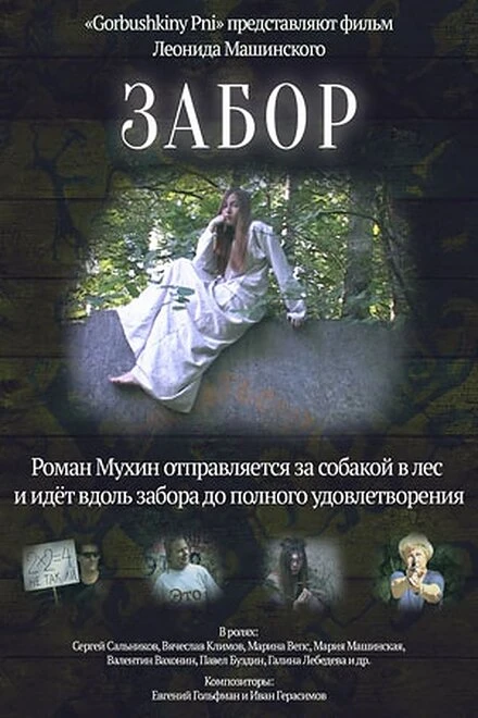 Постер Забор 2017