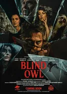 Blind Owl постер