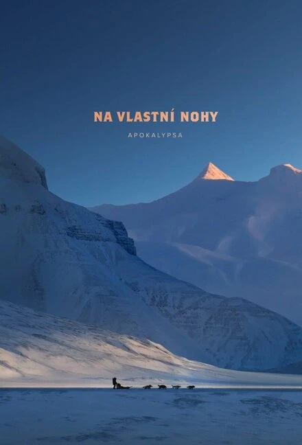 Постер Na vlastní nohy 2018