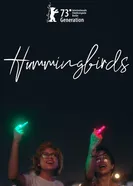 Hummingbirds постер