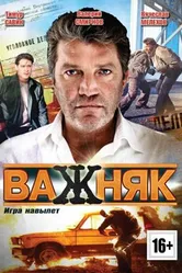 Важняк 2011 постер