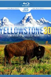 Yellowstone 3D постер