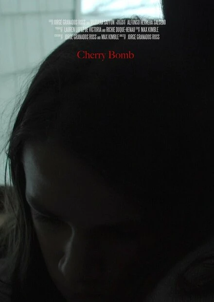 Постер Cherry Bomb 2017, США