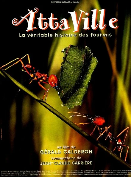 Постер Attaville, la véritable histoire des fourmis