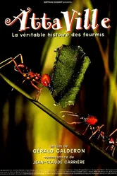 Attaville, la véritable histoire des fourmis постер