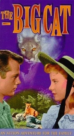 Постер The Big Cat