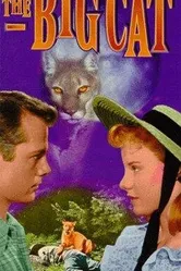 The Big Cat постер
