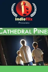 Cathedral Pines постер