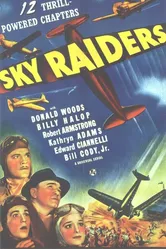 Sky Raiders постер