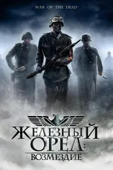 Железный орел: Возмездие 2006 постер