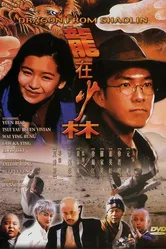 Дракон из Шаолиня 1996 постер