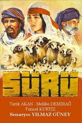 Стадо 1978 постер
