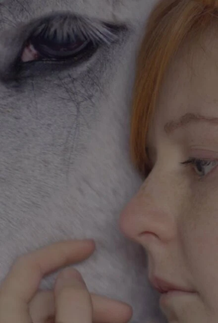 Постер The Wishing Horse