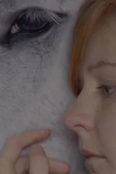 The Wishing Horse постер