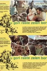 Назови пароль! 1971 постер