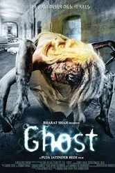 Призрак 2012, Индия постер