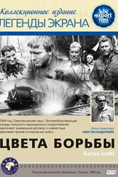 Цвета борьбы 1964 постер