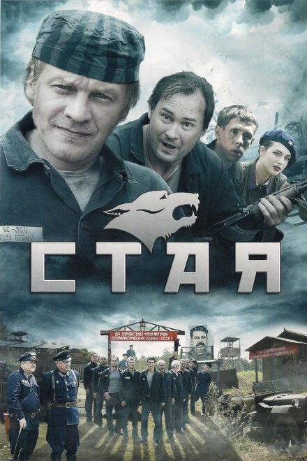 Постер Стая 2009