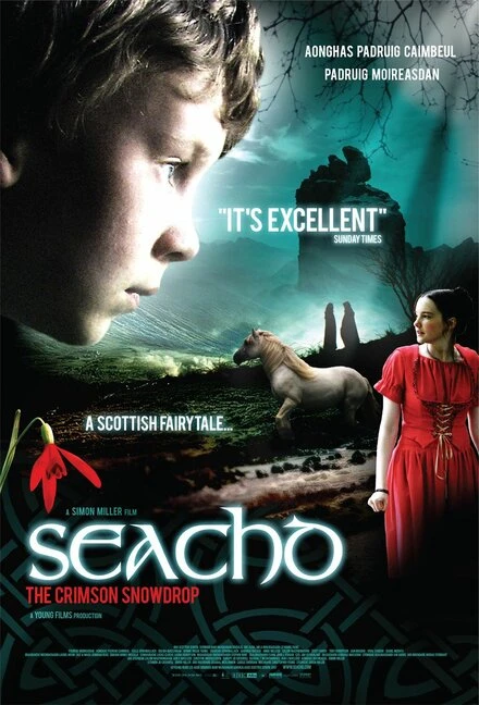 Постер Сичд — недостижимая вершина 2007